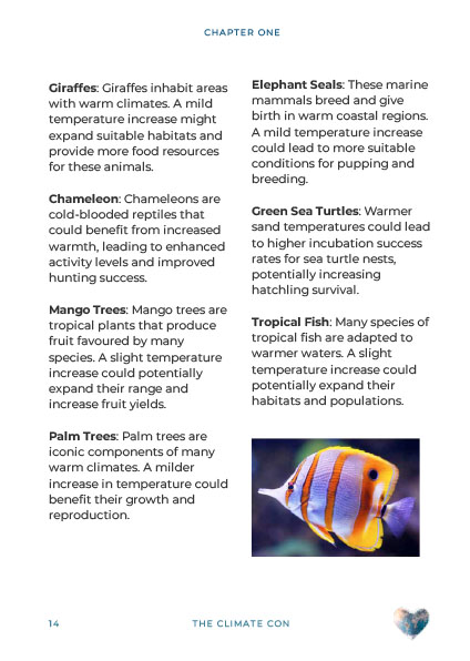 The Beginners Guide To The Climate Con (E-Book) - Image 7